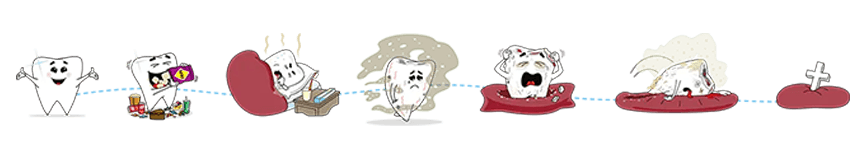 Toothy Life Cycle